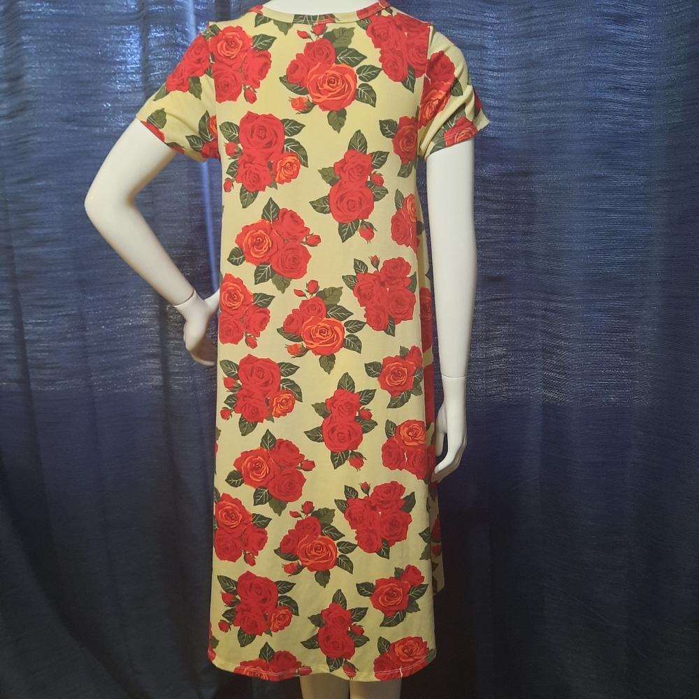 LuLaRoe Dress - Picture 2 of 5